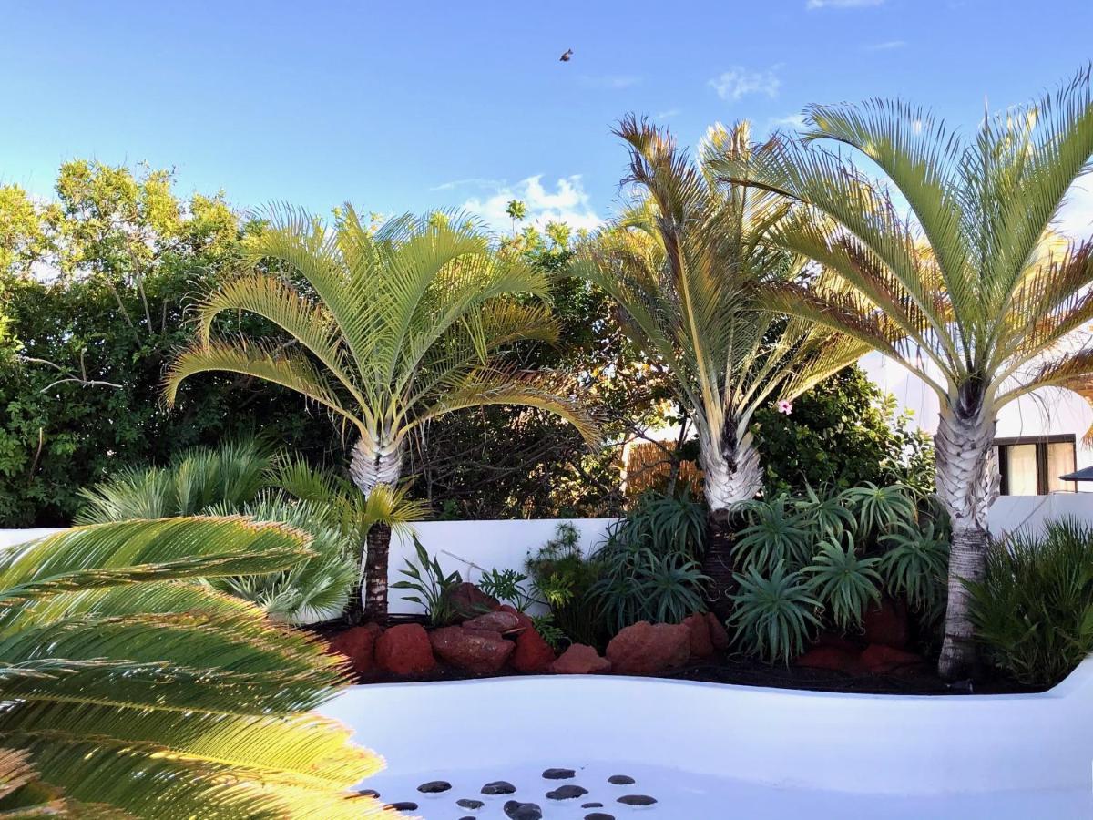 Villa Picasso Private Pool プラヤ・ブランカ エクステリア 写真